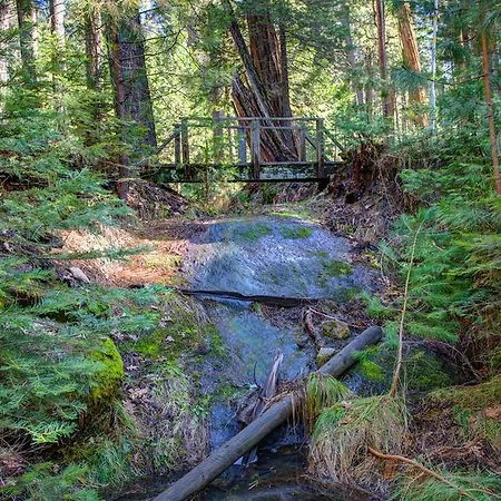1S Cecils Cabin South Wawona Exterior foto