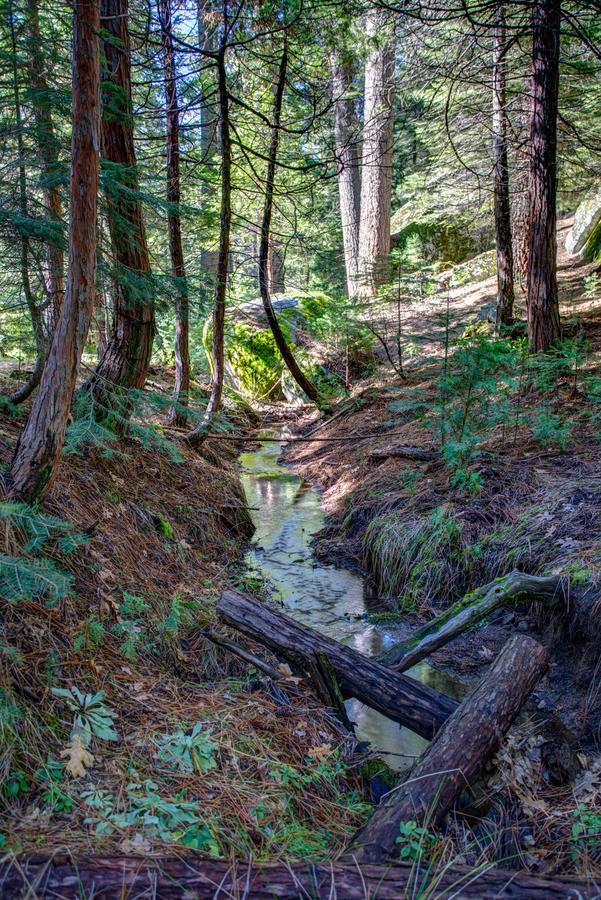 1s Cecils Chalet South Wawona