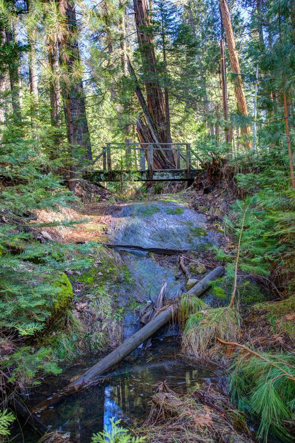 1s Cecils Chalet South Wawona